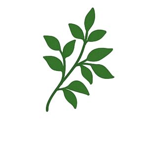  Heritage & Expertise