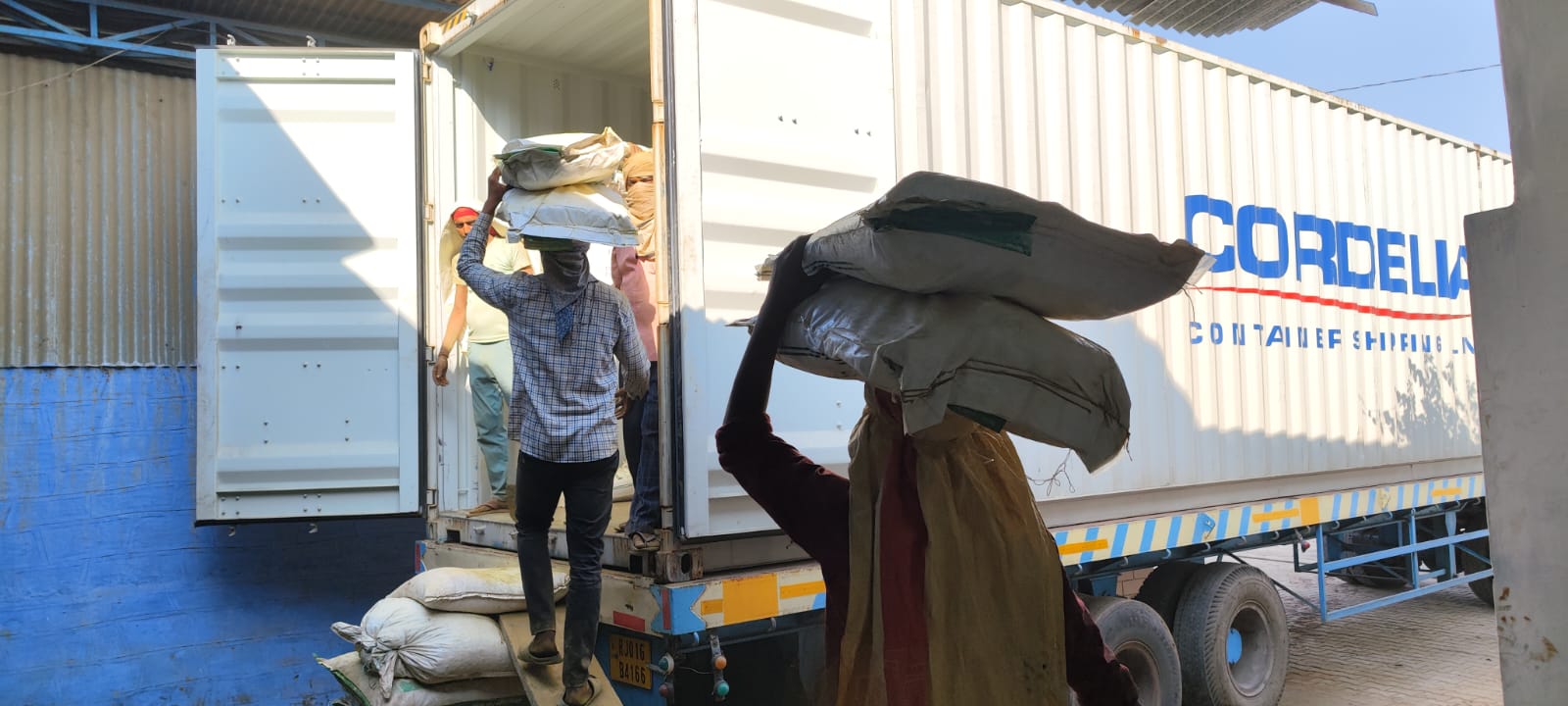 Container loading & export cartons