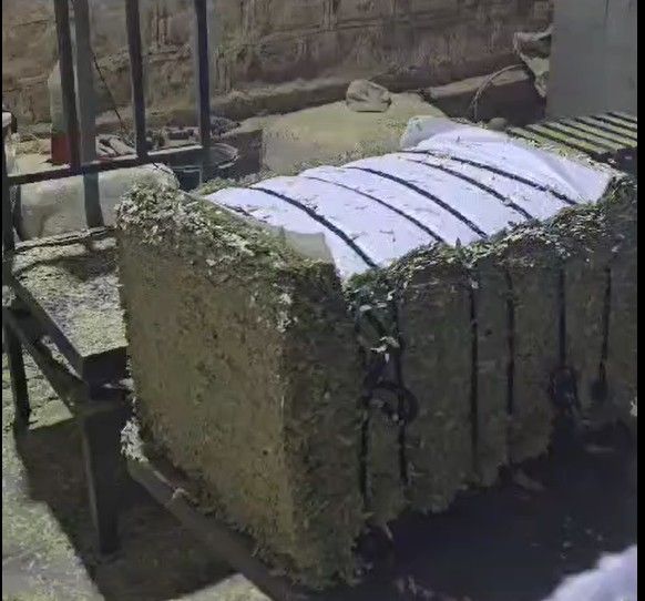 Bulk Senna leaves 50 kg bale packing ready for wholesale export by HennaHub India