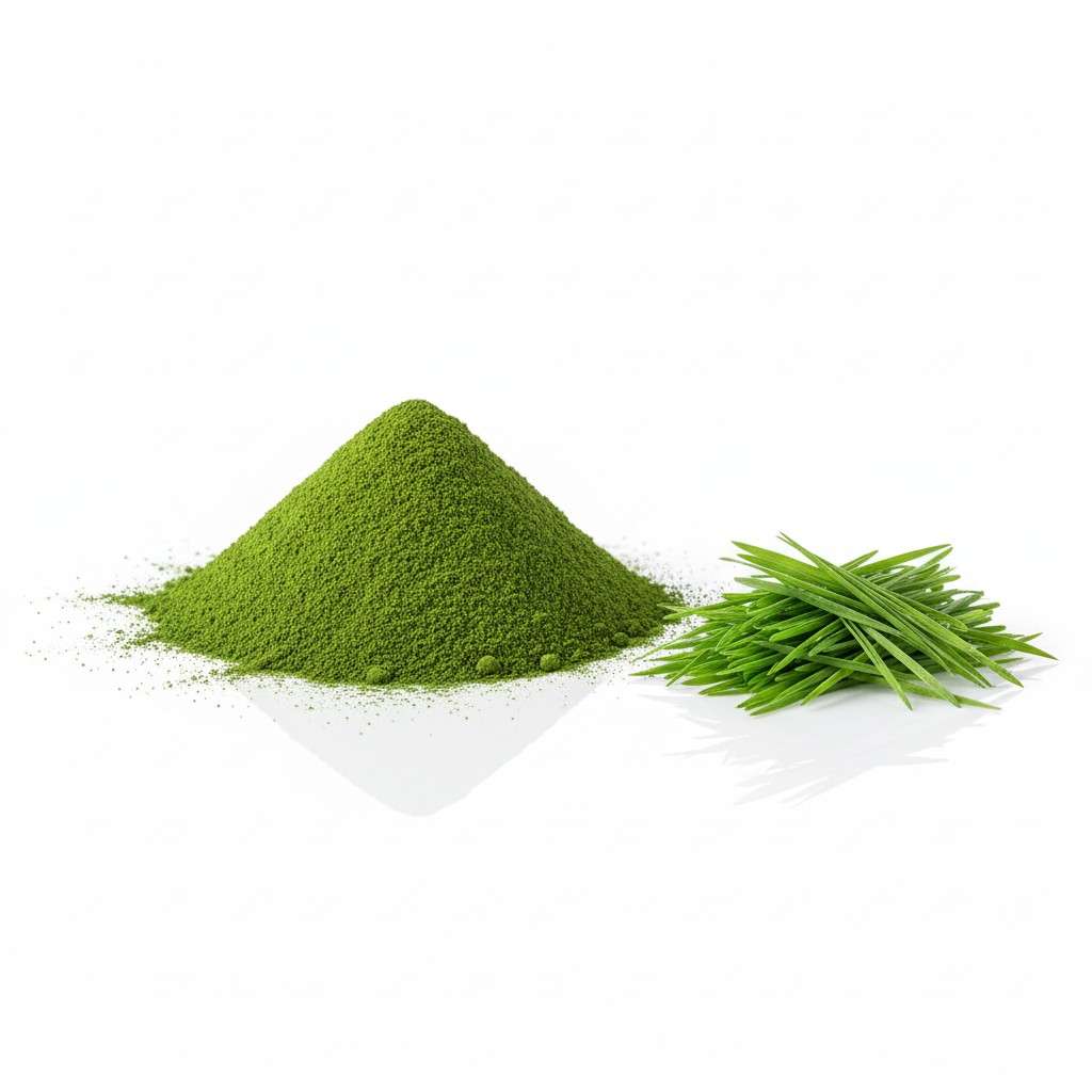 Bulk Wheatgrass Powder for export