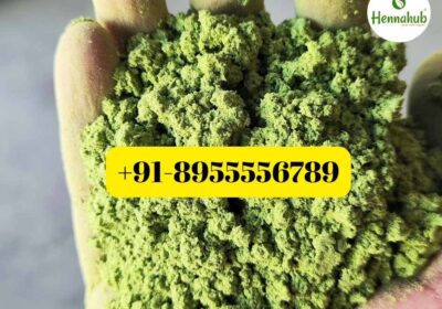 ber patti powder suppliers Saudi Arabia