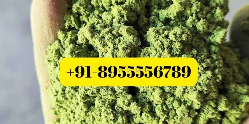 Ber Patti Powder Suppliers for Saudi Arabia: 2026 Bulk Import Guide