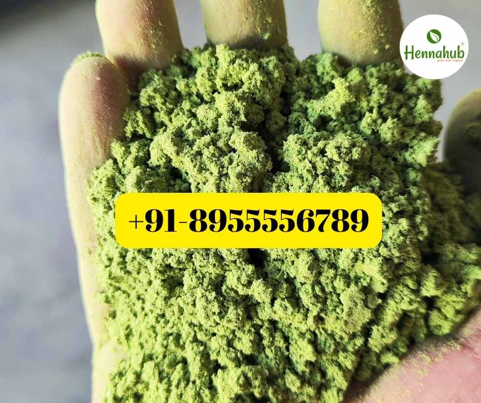 Ber Patti Powder Suppliers for Saudi Arabia: 2026 Bulk Import Guide
